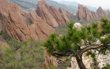 red rock formations with pine tree in foreground above fountain valley trail in roxborough state park near denver