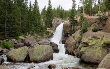 alberta falls waterfall in granite canyon with cascades in foreground in rocky mountain national park