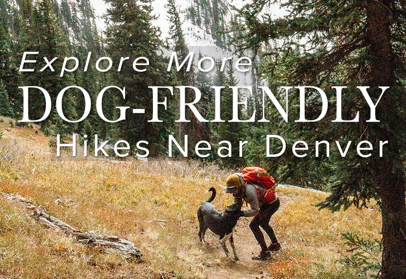 10 Top Dog Friendly Hikes Near Denver