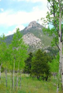 peak along horseshoe trail in golden gate canyon state park