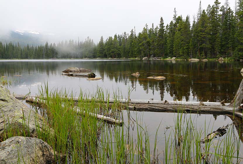 finch lake rocky mountain national park