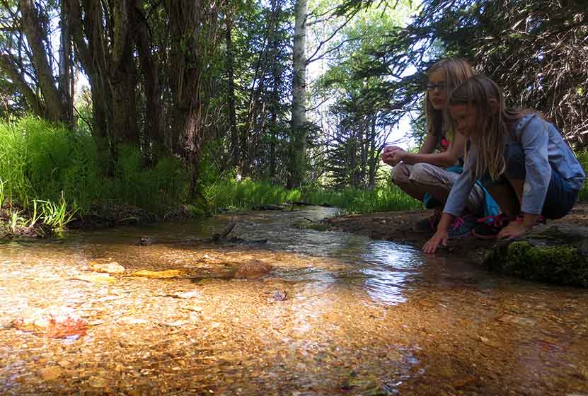 raccoon-loop-brook-golden-gate-canyon-state-park