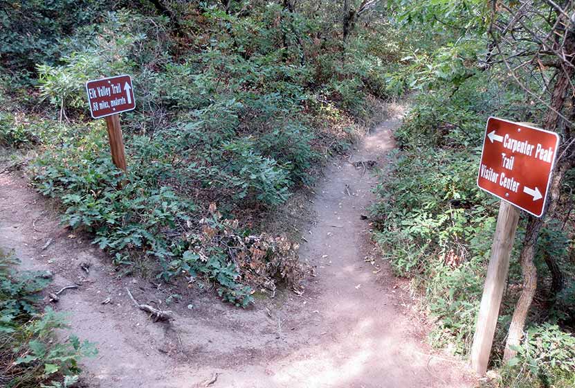 04-carpenter-peak-roxborough-state-park-trail-split-with-elk-valley-trail