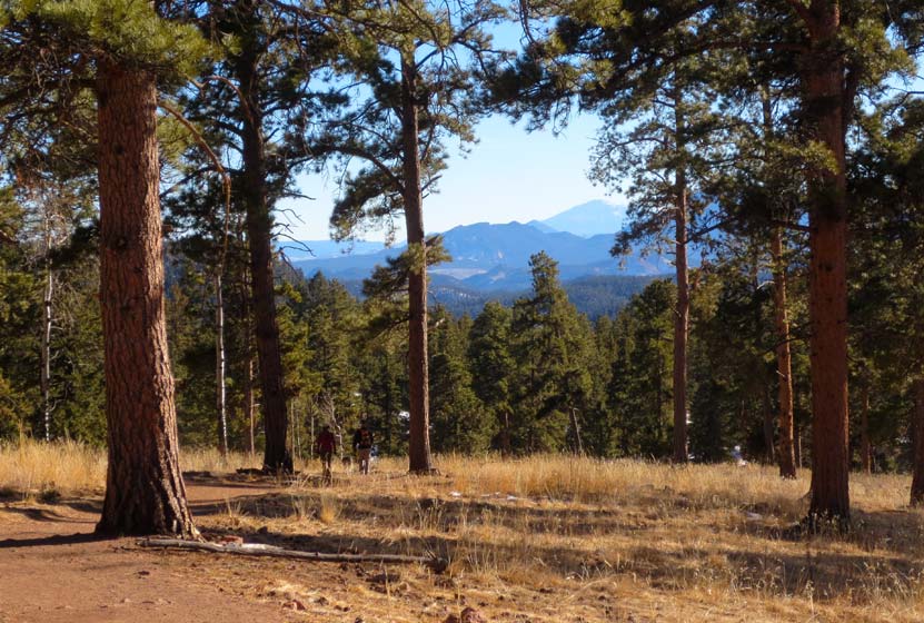 Pikes Peak in background on trail in Staunton State Park with ponderosa pines on hike near Denver Colorado