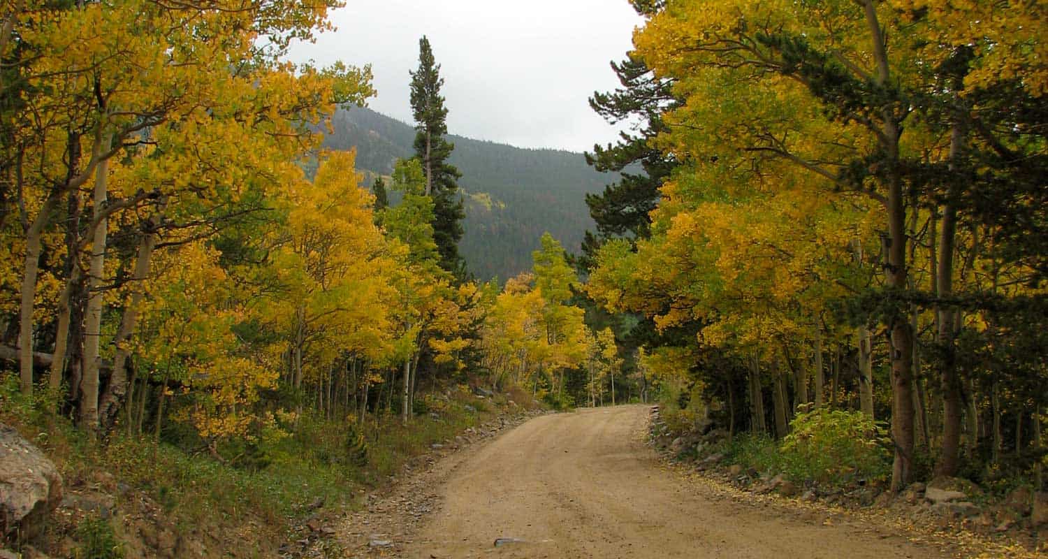 dirt road with changing aspen trees and mountain in background top 10 fall hikes near denver top 10 fall hikes near denver