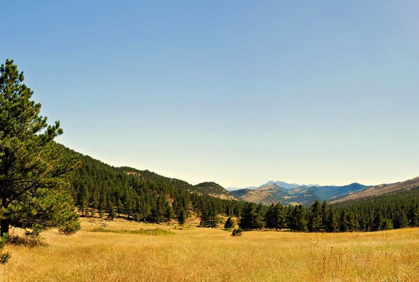 golden meadow with mountains in distance at Heil Valley Ranch Near Boulder Colorado
