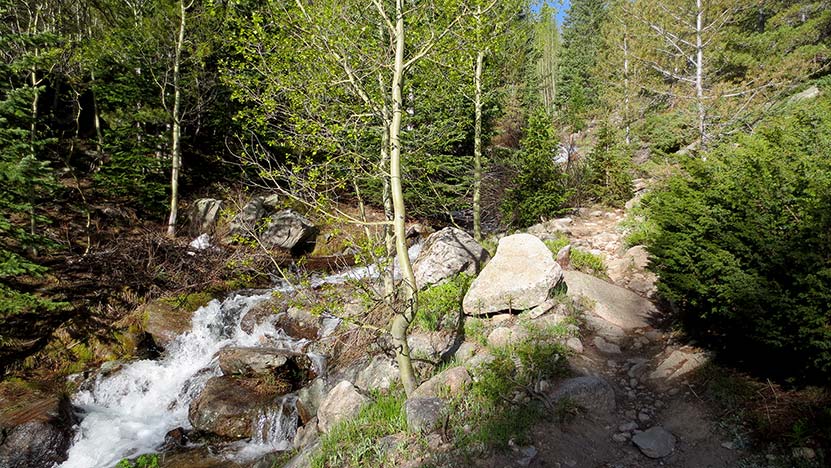 cascades among spruce and aspen trees on st. vrain mountain trail in colorado