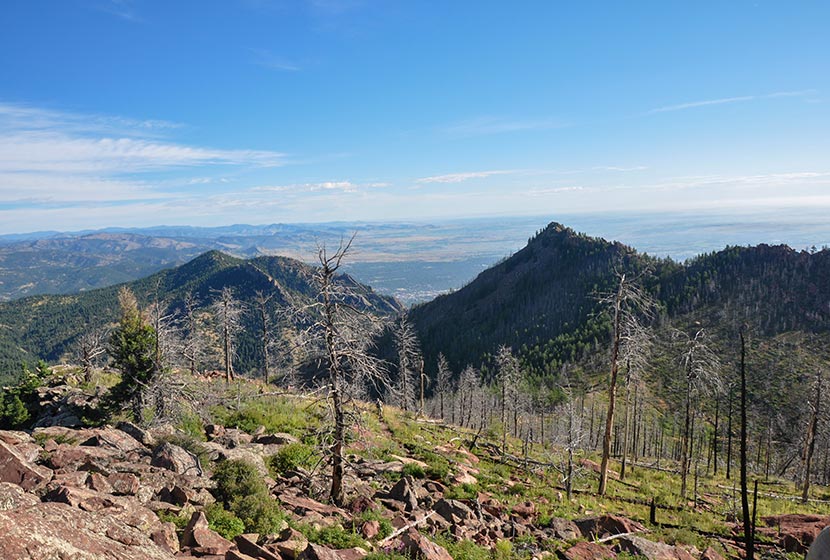 Rocky Trail between South Boulder Peak and Bear Peak