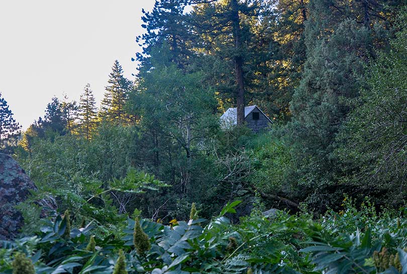 old cabin in shadow canyon on the way up to bear peak near boulder colorado