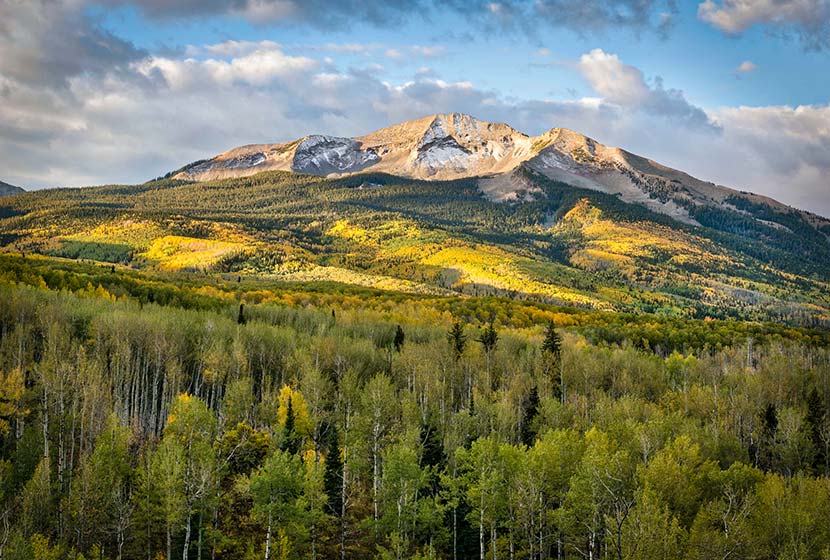 kebler pass with golden aspen trees and grey mountain in background courtesy of Kevin Wenning