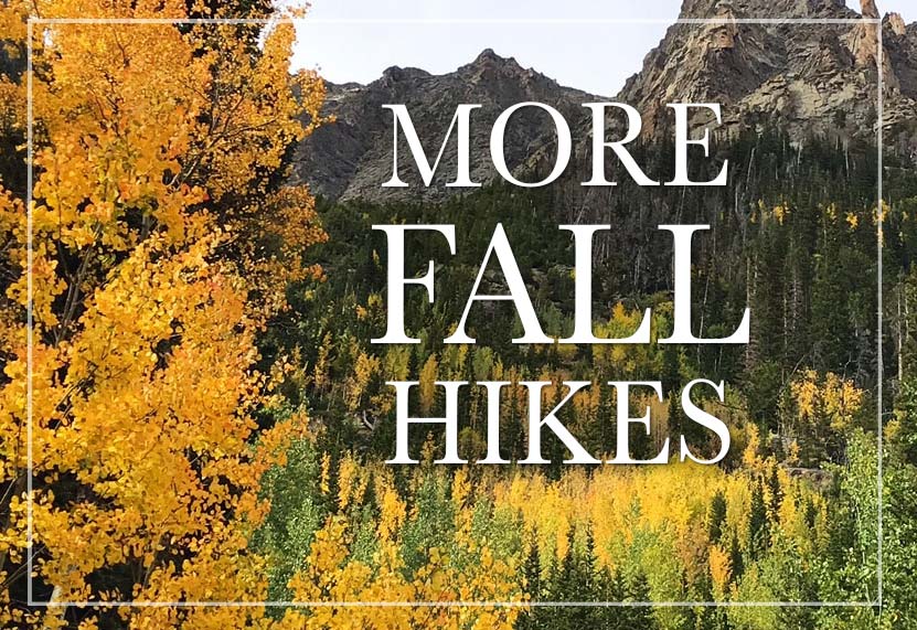 Top 10 Fall Hikes Near Denver with Aspens Day Hikes Near Denver