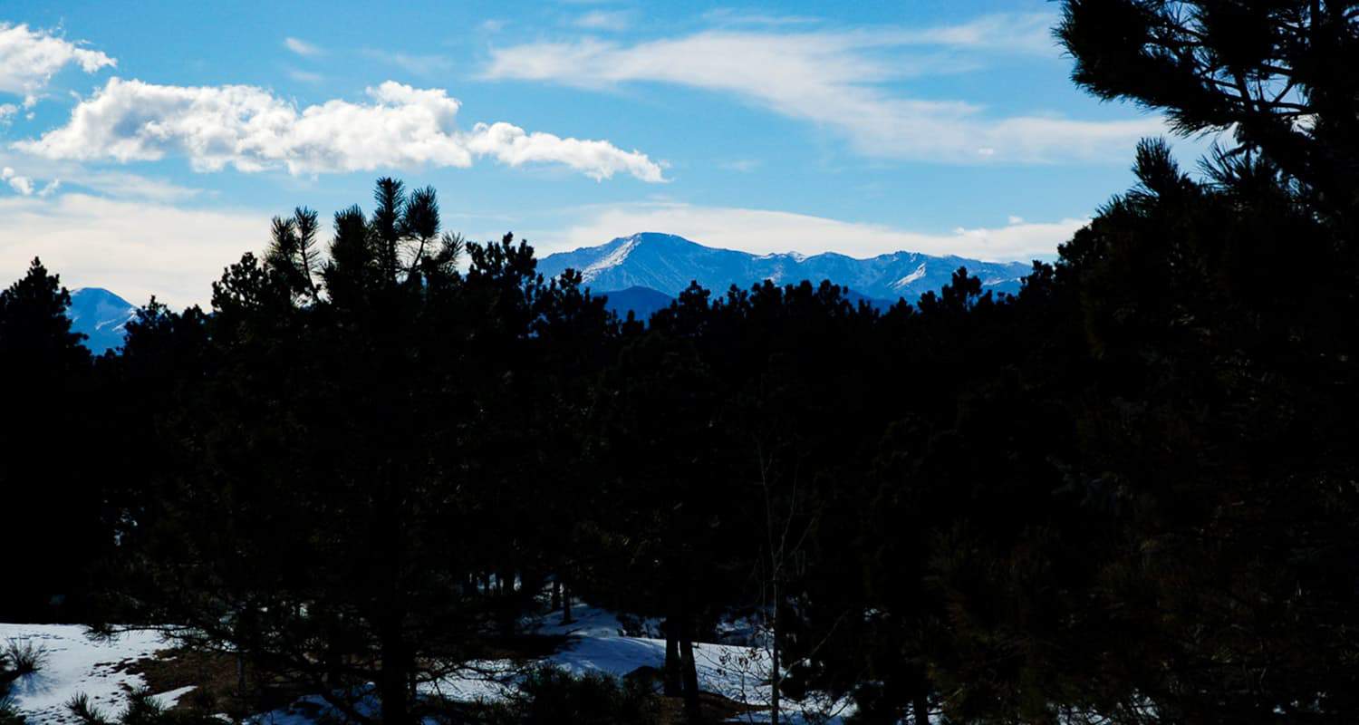 pikes peak in distance from fox run park with evergreen trees in foreground