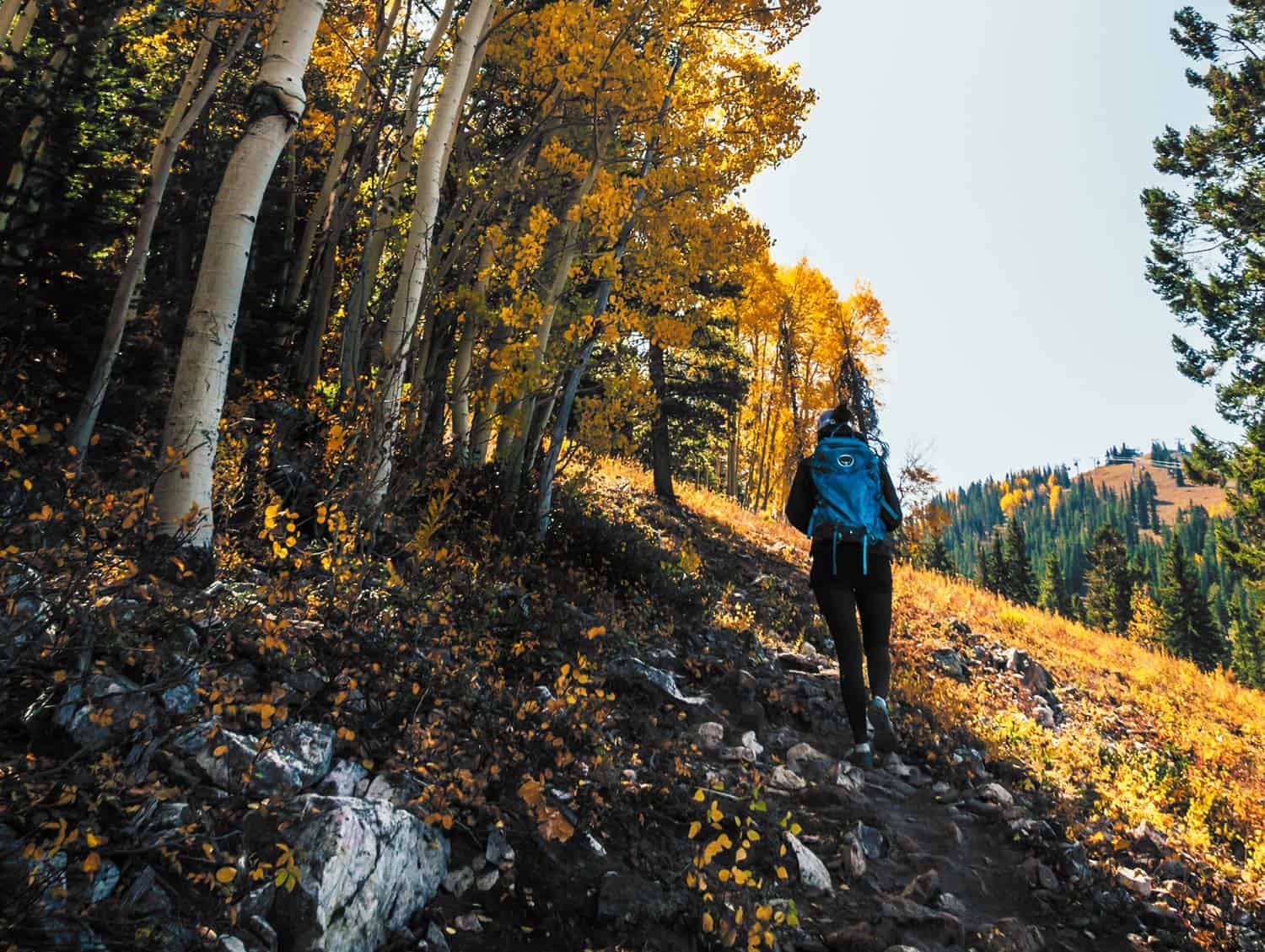 colorado hiker hiking on durable surface with mountainside and aspen trees tips for hiking on muddy trails