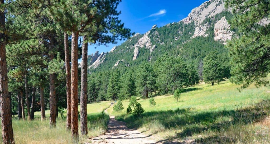 south mesa trail hike with ponderosa pines in foreground and flatirons mountains in background near boulder colorado