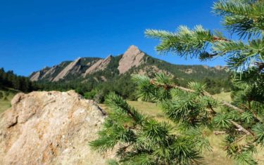 flatirons in boulder colorado along hike with spruce tree in foreground