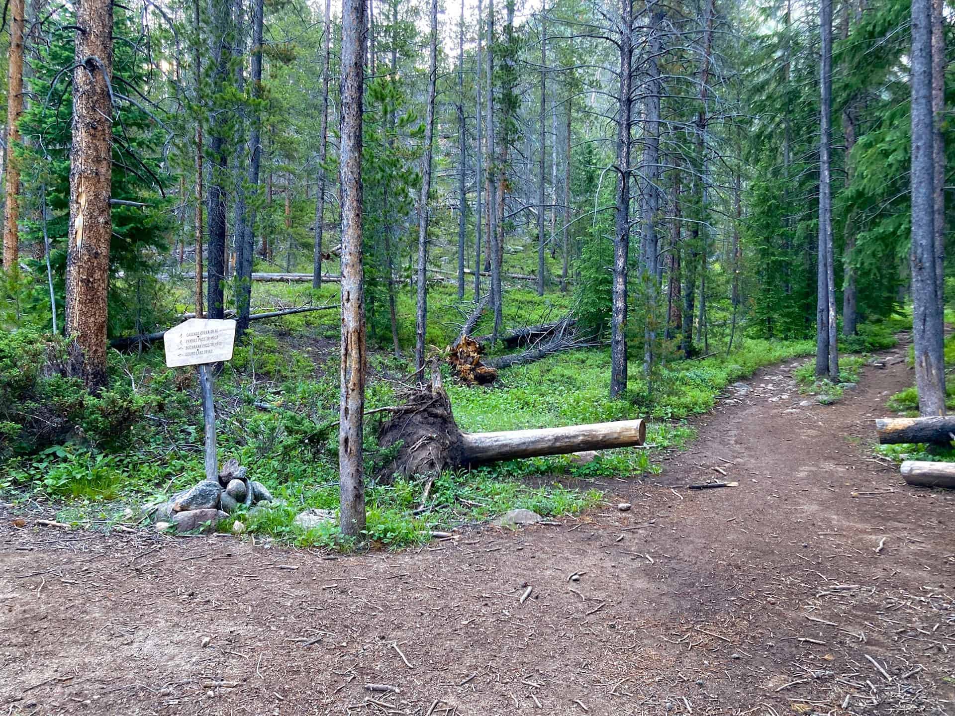 trail junction