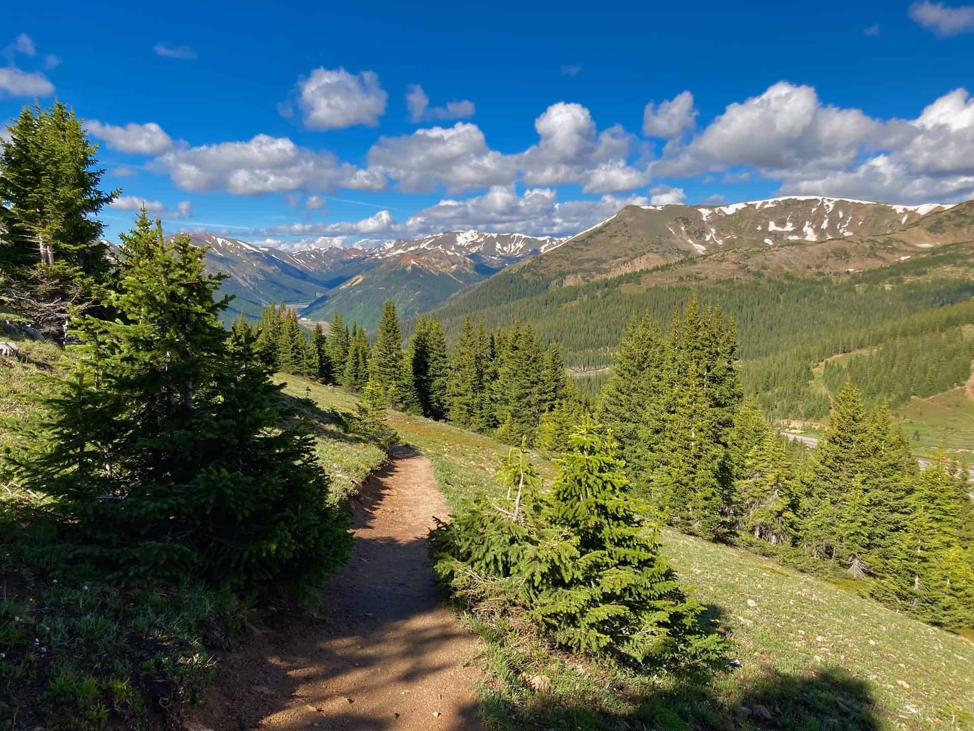 forest trail along mt. flora route