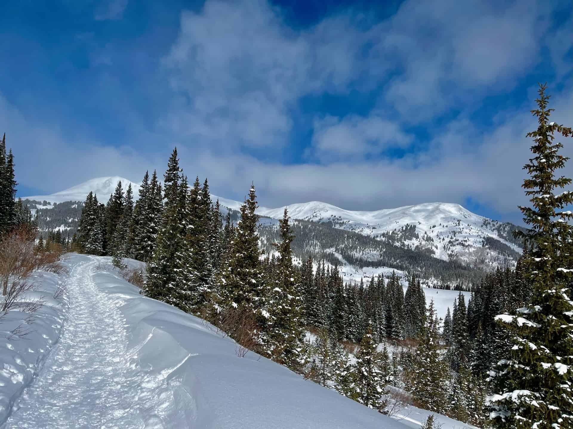 trail up to mayflower gulch